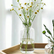 1/2/3pcs Nordic Creative Transparent Vases Glass Bottle Flower Pot Hydroponic Terrarium Arrangement Container Table Vase Decor